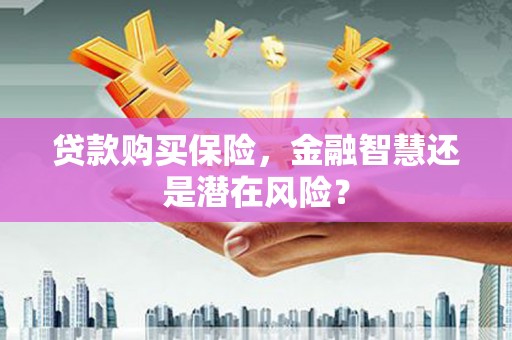 旬阳贷款购买保险，金融智慧还是潜在风险？