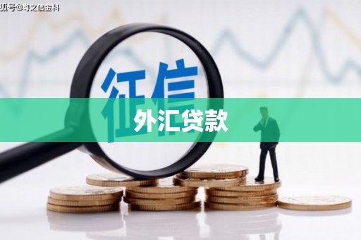旬阳外汇贷款