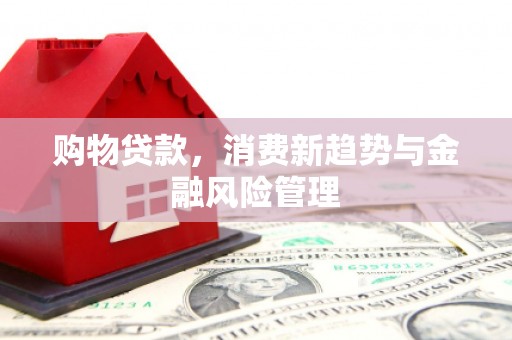 旬阳购物贷款，消费新趋势与金融风险管理