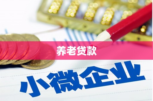 旬阳养老贷款