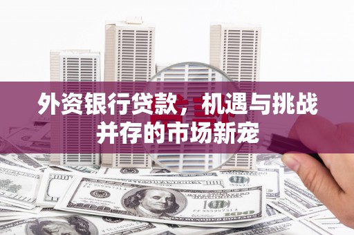 旬阳外资银行贷款，机遇与挑战并存的市场新宠