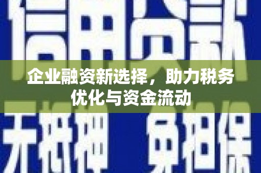 旬阳企业融资新选择，助力税务优化与资金流动
