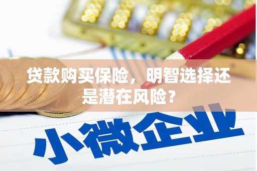 旬阳贷款购买保险，明智选择还是潜在风险？