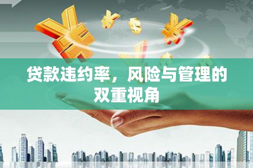 旬阳贷款违约率，风险与管理的双重视角