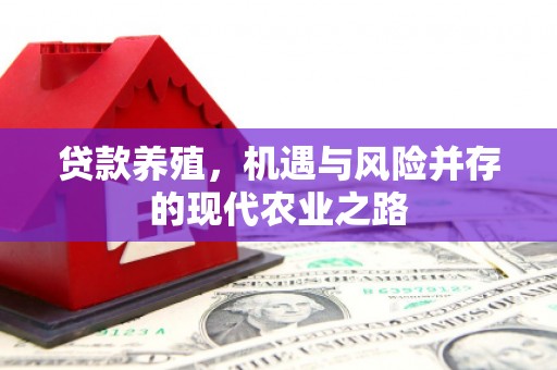 旬阳贷款养殖，机遇与风险并存的现代农业之路
