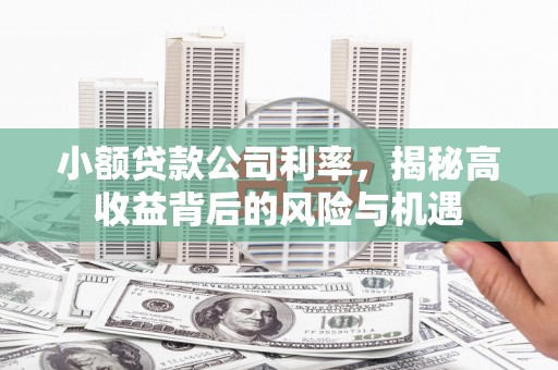 旬阳小额贷款公司利率，揭秘高收益背后的风险与机遇