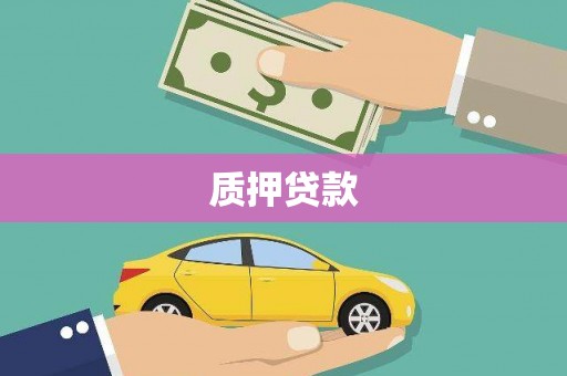 旬阳质押贷款