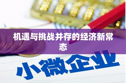 旬阳机遇与挑战并存的经济新常态