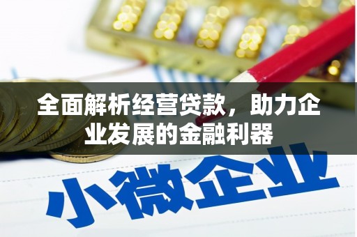 旬阳全面解析经营贷款，助力企业发展的金融利器
