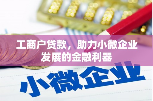 旬阳工商户贷款，助力小微企业发展的金融利器