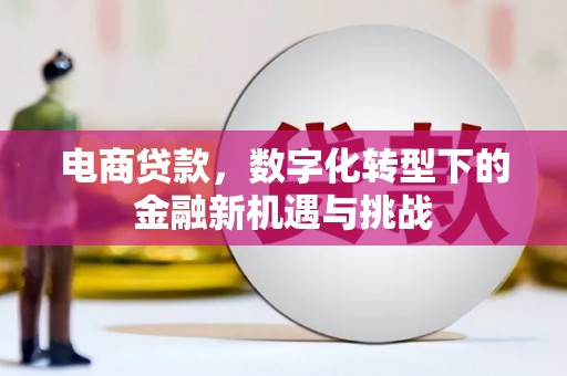 旬阳电商贷款，数字化转型下的金融新机遇与挑战