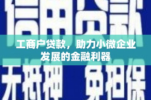 旬阳工商户贷款，助力小微企业发展的金融利器