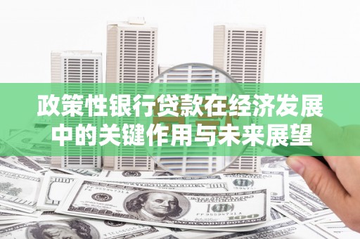旬阳政策性银行贷款在经济发展中的关键作用与未来展望