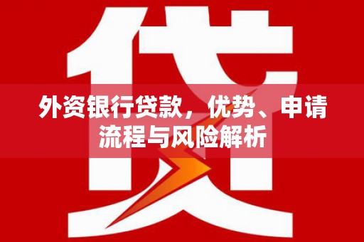 旬阳外资银行贷款，优势、申请流程与风险解析