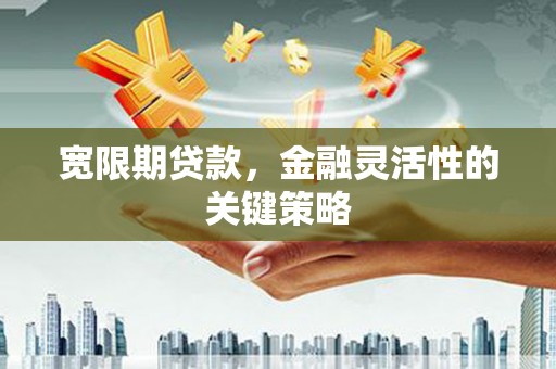 旬阳宽限期贷款，金融灵活性的关键策略