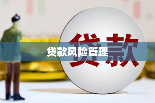 旬阳贷款风险管理
