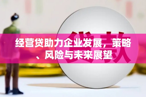 旬阳经营贷助力企业发展，策略、风险与未来展望