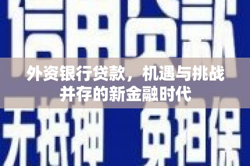 旬阳外资银行贷款，机遇与挑战并存的新金融时代