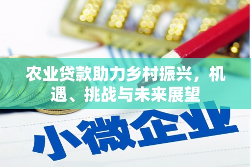 旬阳农业贷款助力乡村振兴，机遇、挑战与未来展望