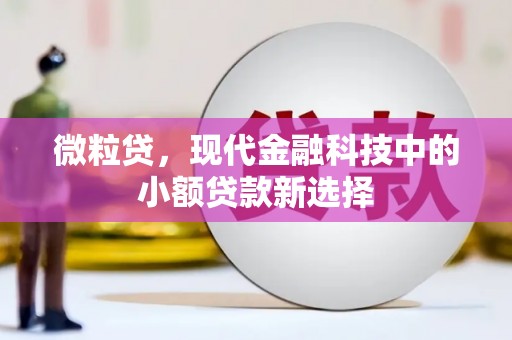 旬阳微粒贷，现代金融科技中的小额贷款新选择