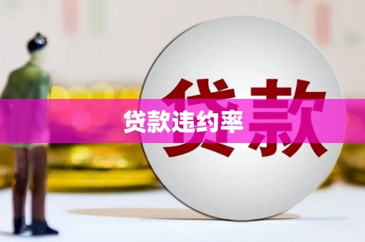 旬阳贷款违约率