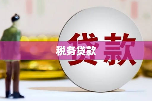 旬阳税务贷款