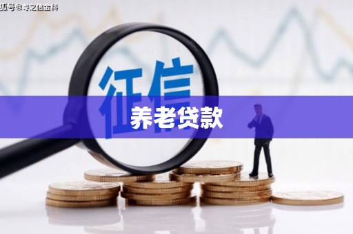 旬阳养老贷款
