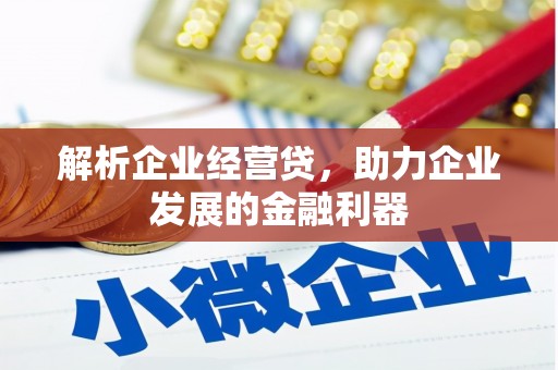 旬阳解析企业经营贷，助力企业发展的金融利器