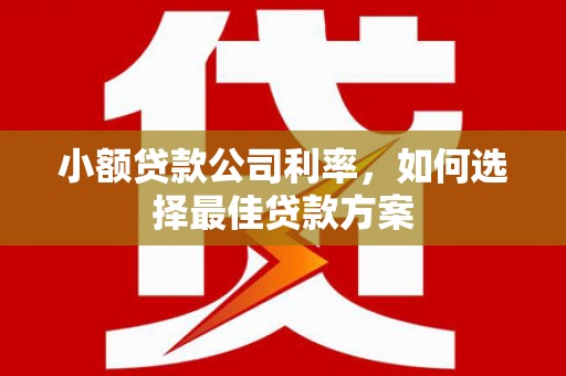 旬阳小额贷款公司利率，如何选择最佳贷款方案