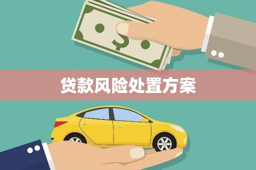 旬阳贷款风险处置方案