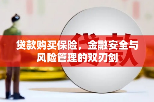 旬阳贷款购买保险，金融安全与风险管理的双刃剑