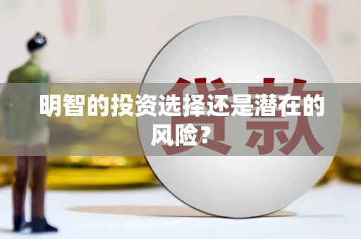旬阳明智的投资选择还是潜在的风险？
