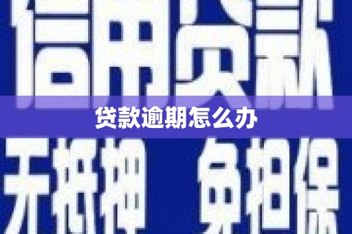 旬阳贷款逾期怎么办