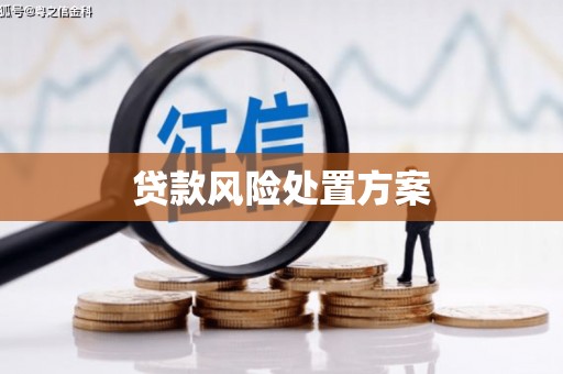 旬阳贷款风险处置方案