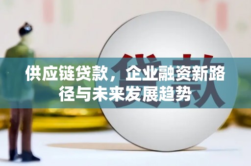 旬阳供应链贷款，企业融资新路径与未来发展趋势