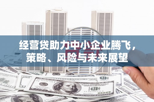 旬阳经营贷助力中小企业腾飞，策略、风险与未来展望