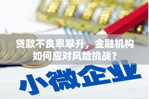 旬阳贷款不良率攀升，金融机构如何应对风险挑战？