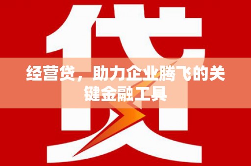 旬阳经营贷，助力企业腾飞的关键金融工具