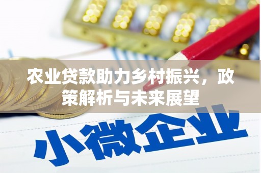 旬阳农业贷款助力乡村振兴，政策解析与未来展望