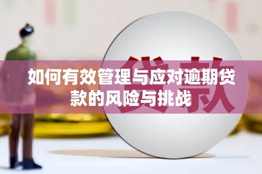 旬阳如何有效管理与应对逾期贷款的风险与挑战