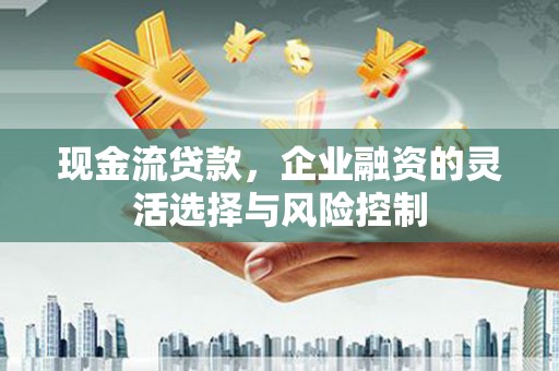 旬阳现金流贷款，企业融资的灵活选择与风险控制
