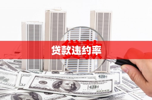 旬阳贷款违约率