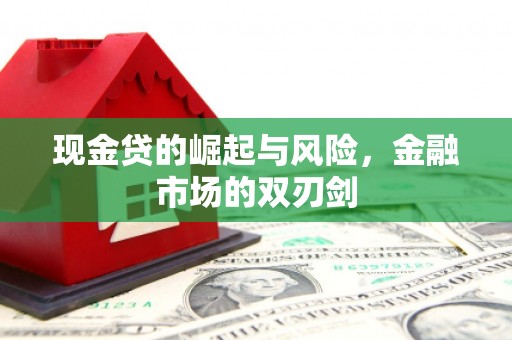 旬阳现金贷的崛起与风险，金融市场的双刃剑