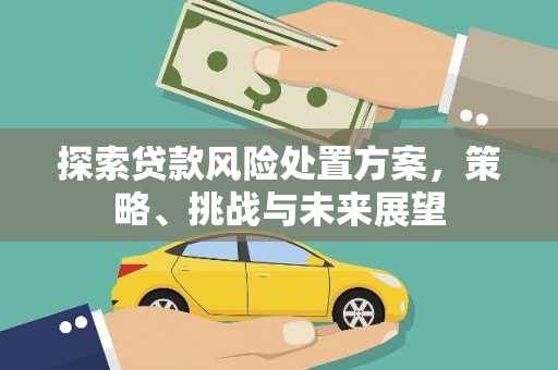 旬阳探索贷款风险处置方案，策略、挑战与未来展望