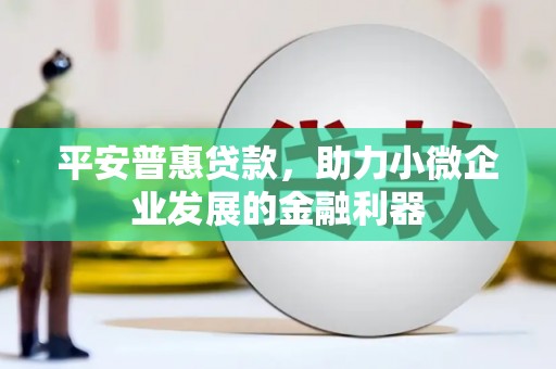 旬阳平安普惠贷款，助力小微企业发展的金融利器