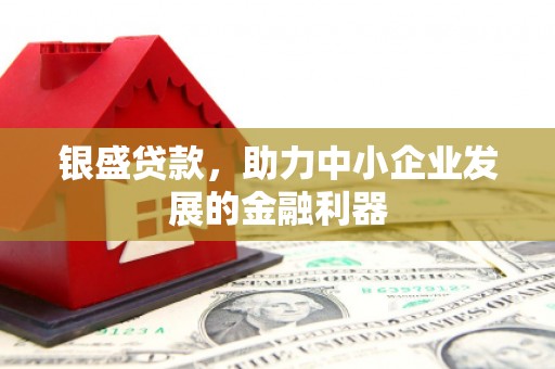 旬阳银盛贷款，助力中小企业发展的金融利器