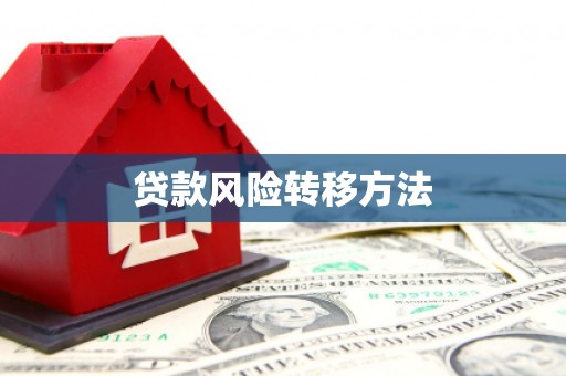 旬阳贷款风险转移方法