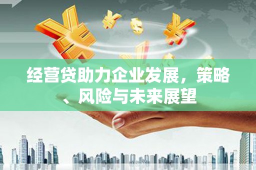 旬阳经营贷助力企业发展，策略、风险与未来展望