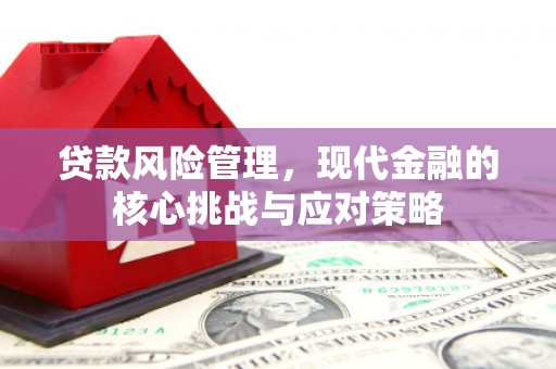 旬阳贷款风险管理，现代金融的核心挑战与应对策略