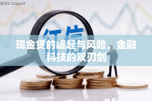 旬阳现金贷的崛起与风险，金融科技的双刃剑